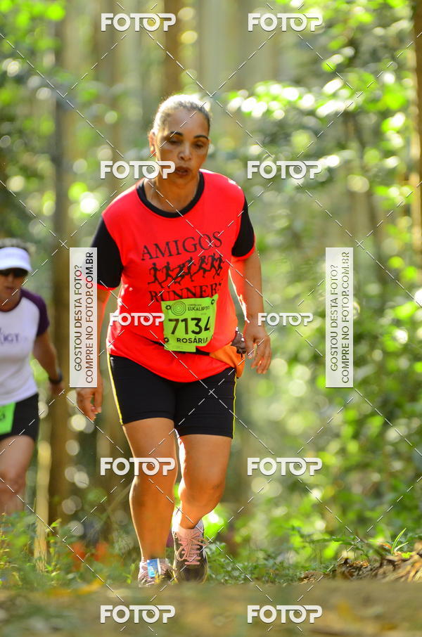 Buy your photos of the eventCORRIDA DOS EUCALIPTOS 2018 on Fotop