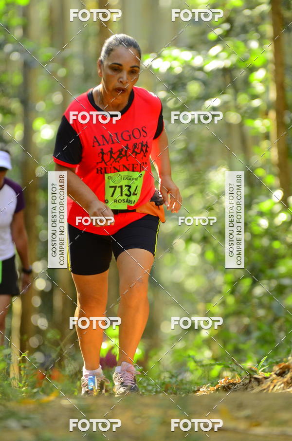 Buy your photos of the eventCORRIDA DOS EUCALIPTOS 2018 on Fotop