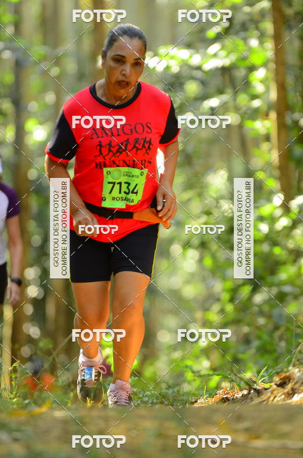 Buy your photos of the eventCORRIDA DOS EUCALIPTOS 2018 on Fotop