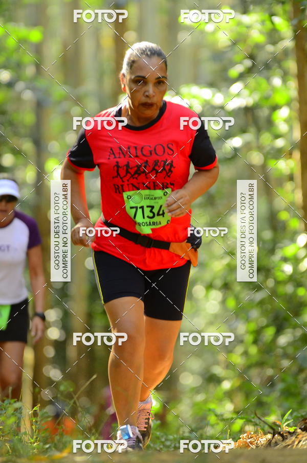 Buy your photos of the eventCORRIDA DOS EUCALIPTOS 2018 on Fotop