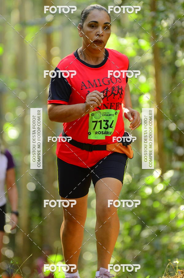 Buy your photos of the eventCORRIDA DOS EUCALIPTOS 2018 on Fotop