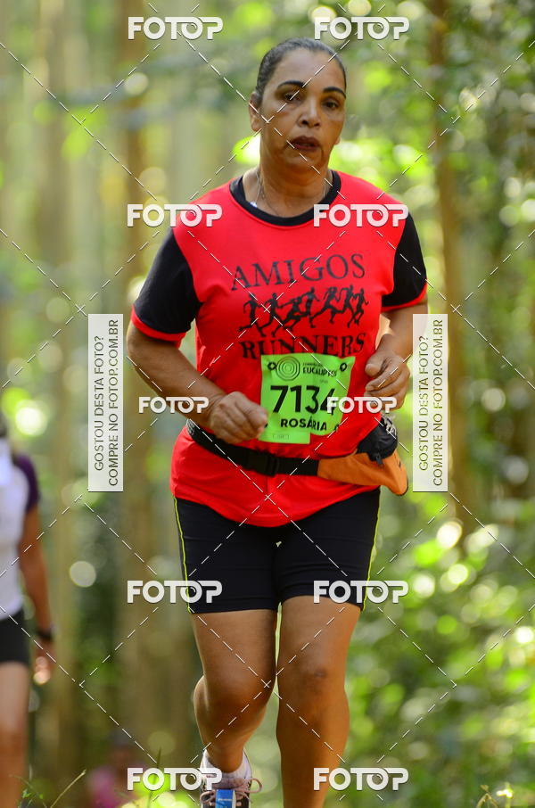 Buy your photos of the eventCORRIDA DOS EUCALIPTOS 2018 on Fotop