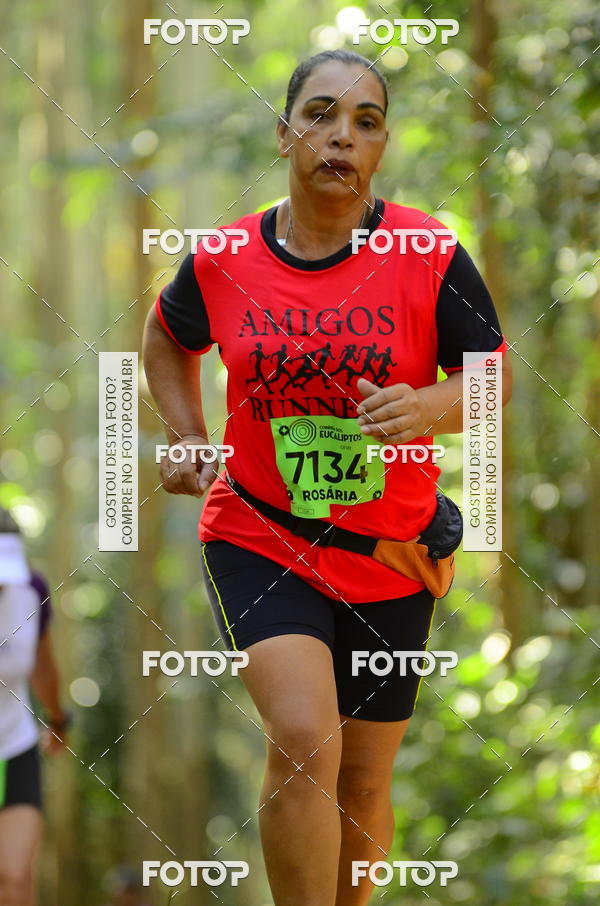 Buy your photos of the eventCORRIDA DOS EUCALIPTOS 2018 on Fotop