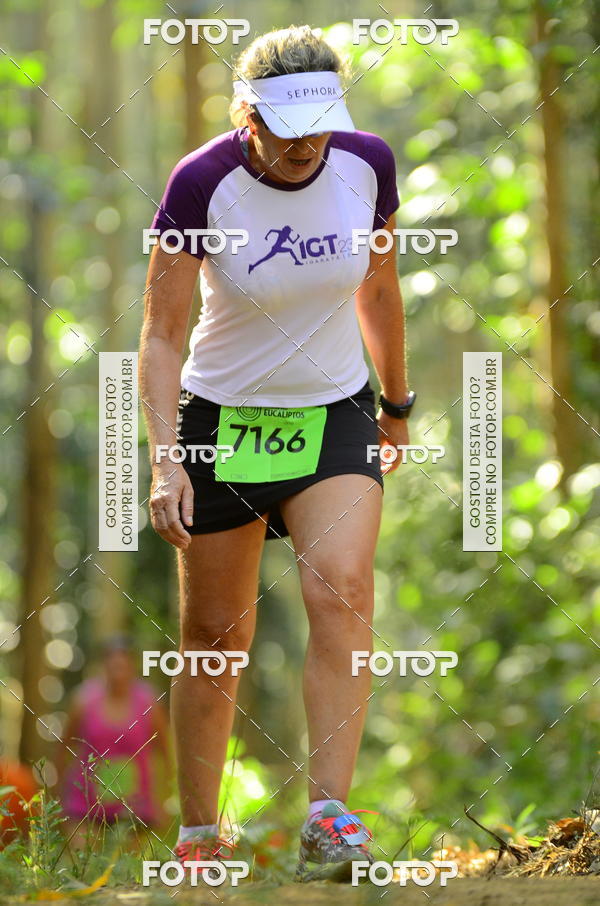 Buy your photos of the eventCORRIDA DOS EUCALIPTOS 2018 on Fotop