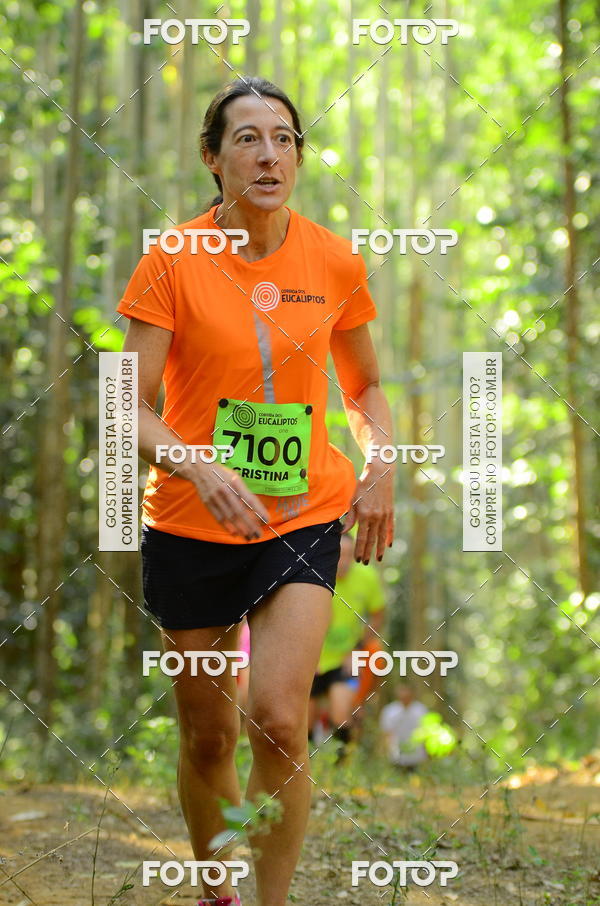 Buy your photos of the eventCORRIDA DOS EUCALIPTOS 2018 on Fotop