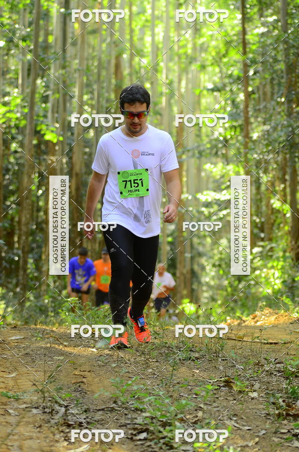 Buy your photos of the eventCORRIDA DOS EUCALIPTOS 2018 on Fotop