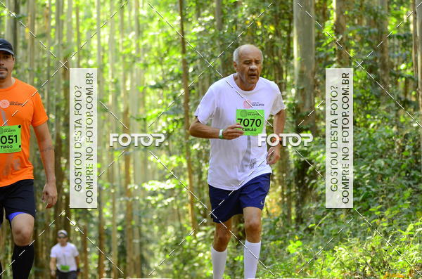 Buy your photos of the eventCORRIDA DOS EUCALIPTOS 2018 on Fotop