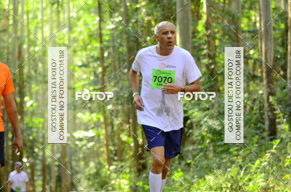 Buy your photos of the eventCORRIDA DOS EUCALIPTOS 2018 on Fotop