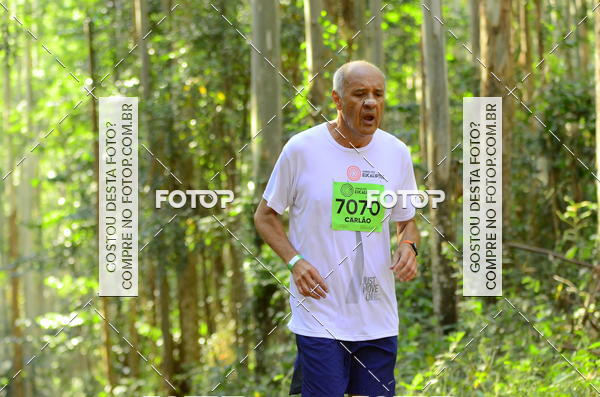 Buy your photos of the eventCORRIDA DOS EUCALIPTOS 2018 on Fotop