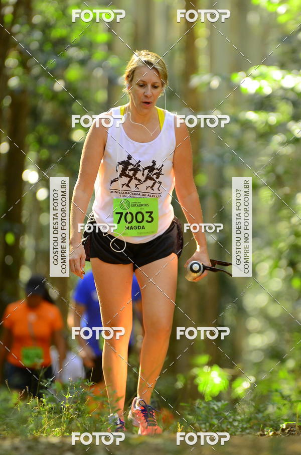 Buy your photos of the eventCORRIDA DOS EUCALIPTOS 2018 on Fotop