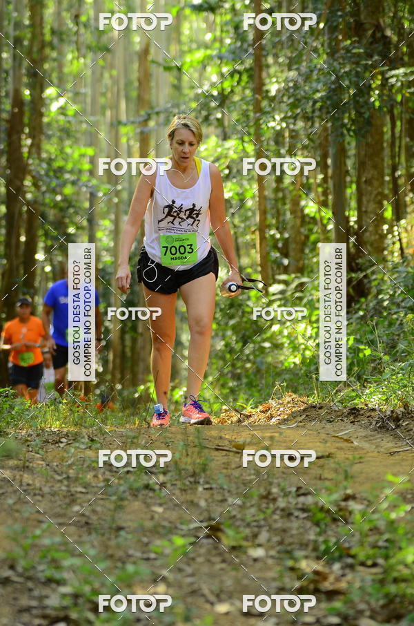 Buy your photos of the eventCORRIDA DOS EUCALIPTOS 2018 on Fotop