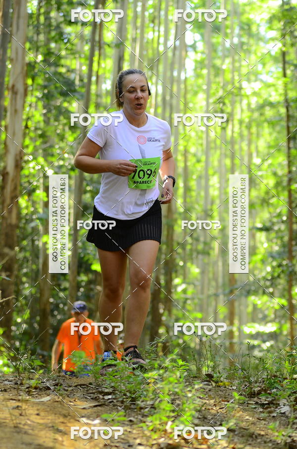 Buy your photos of the eventCORRIDA DOS EUCALIPTOS 2018 on Fotop