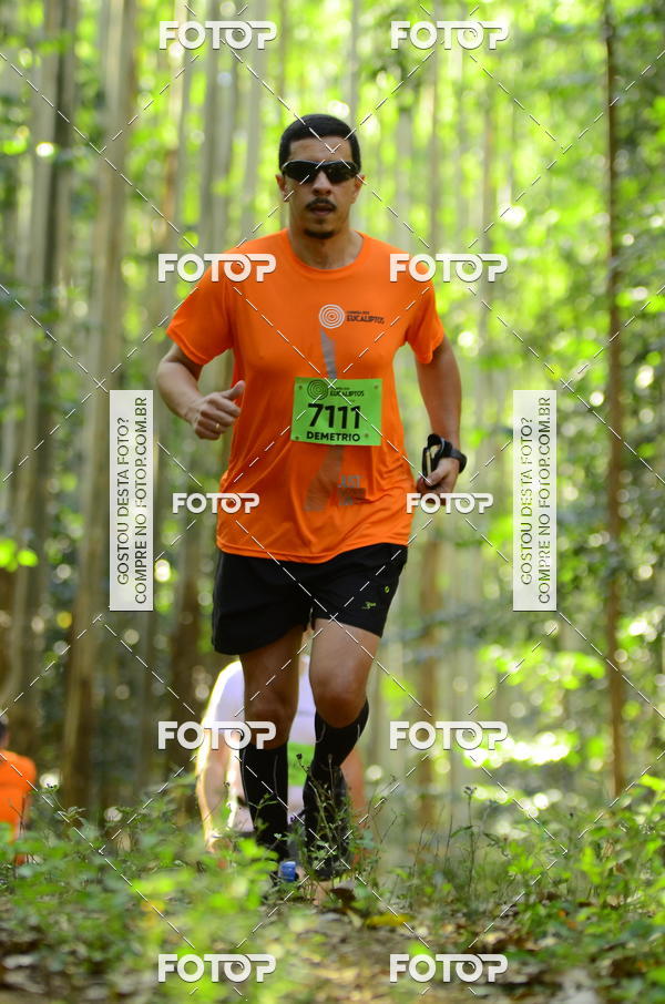 Buy your photos of the eventCORRIDA DOS EUCALIPTOS 2018 on Fotop