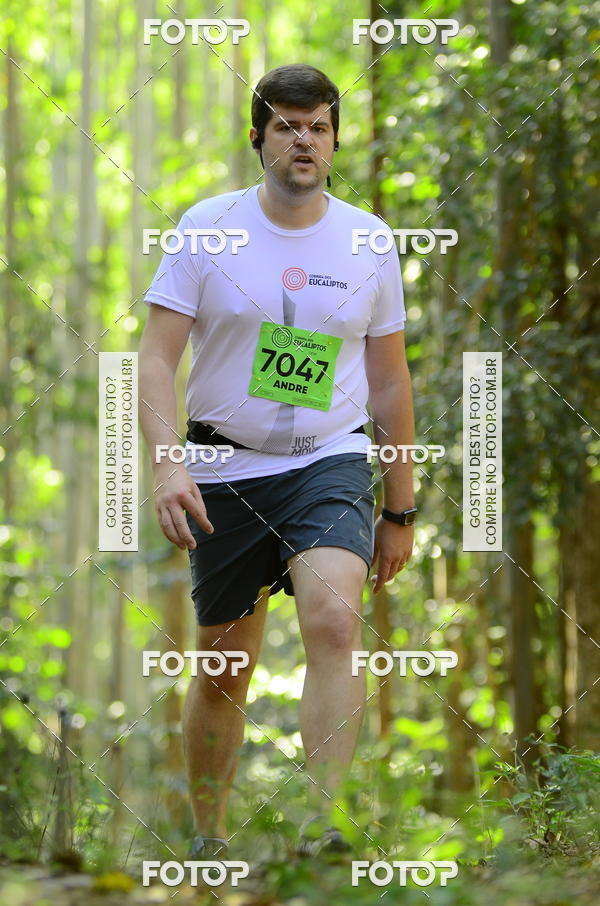 Buy your photos of the eventCORRIDA DOS EUCALIPTOS 2018 on Fotop