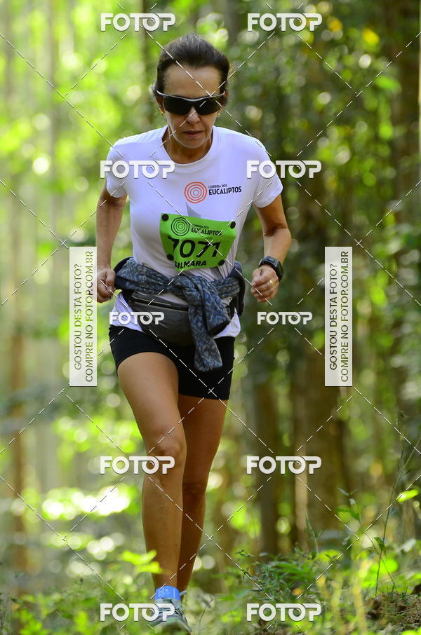 Buy your photos of the eventCORRIDA DOS EUCALIPTOS 2018 on Fotop