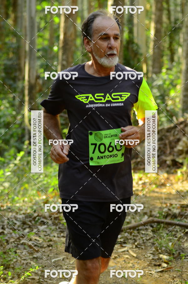 Buy your photos of the eventCORRIDA DOS EUCALIPTOS 2018 on Fotop