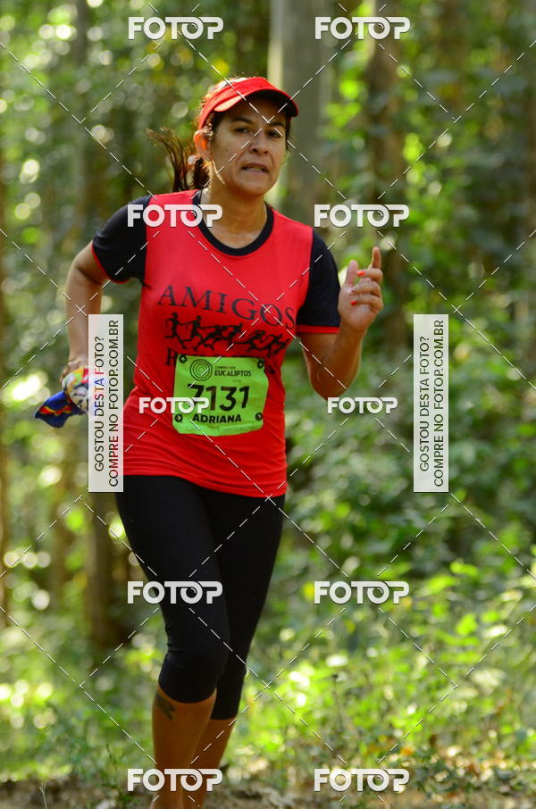 Buy your photos of the eventCORRIDA DOS EUCALIPTOS 2018 on Fotop