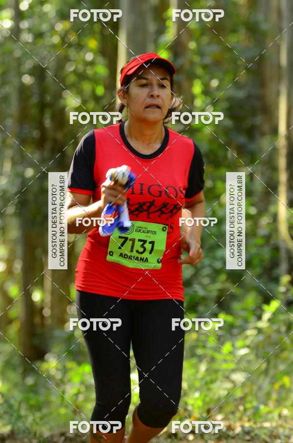 Buy your photos of the eventCORRIDA DOS EUCALIPTOS 2018 on Fotop