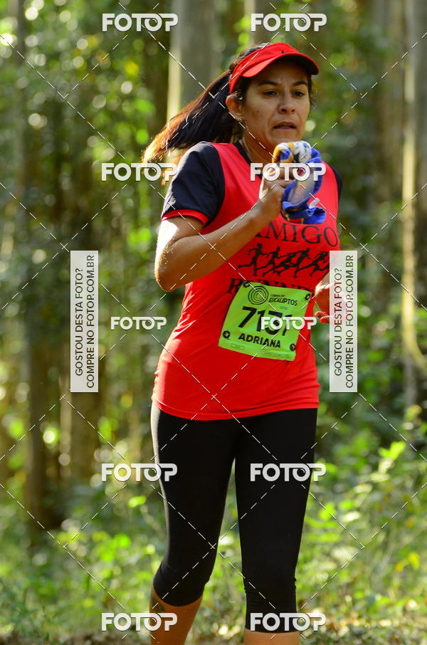 Buy your photos of the eventCORRIDA DOS EUCALIPTOS 2018 on Fotop