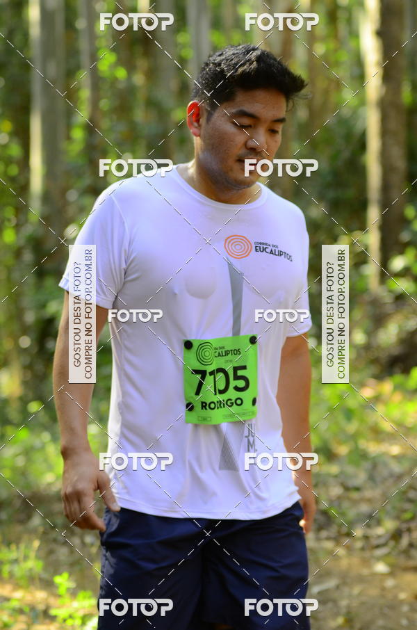 Buy your photos of the eventCORRIDA DOS EUCALIPTOS 2018 on Fotop