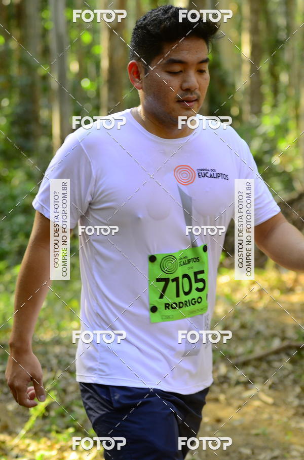 Buy your photos of the eventCORRIDA DOS EUCALIPTOS 2018 on Fotop