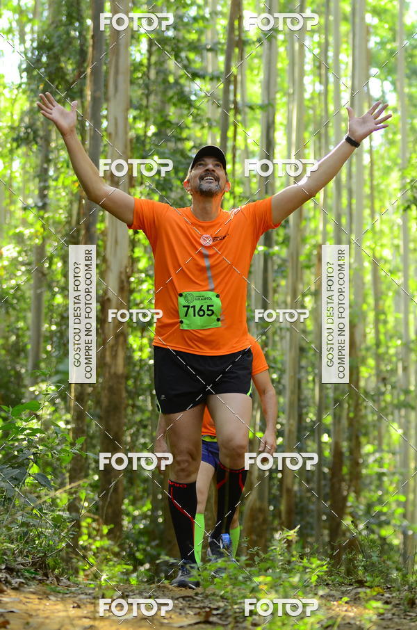 Buy your photos of the eventCORRIDA DOS EUCALIPTOS 2018 on Fotop