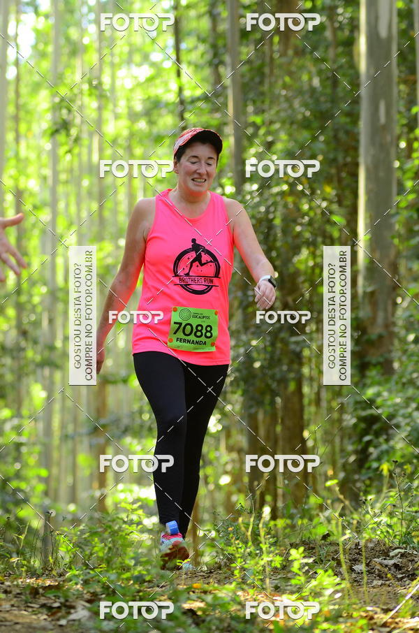 Buy your photos of the eventCORRIDA DOS EUCALIPTOS 2018 on Fotop
