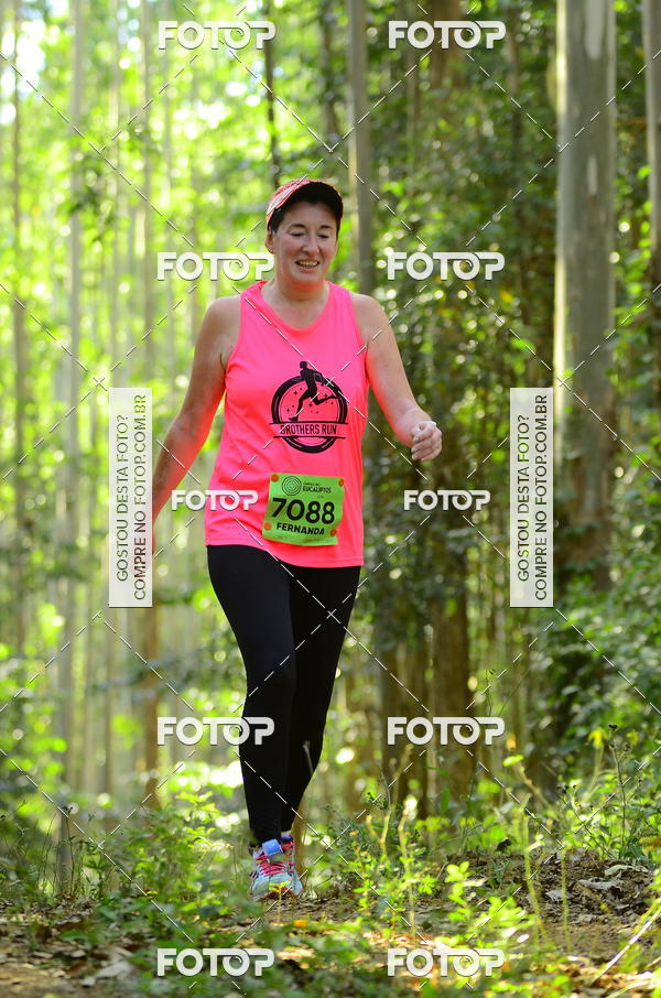 Buy your photos of the eventCORRIDA DOS EUCALIPTOS 2018 on Fotop