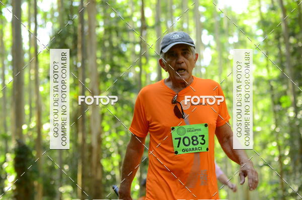 Buy your photos of the eventCORRIDA DOS EUCALIPTOS 2018 on Fotop