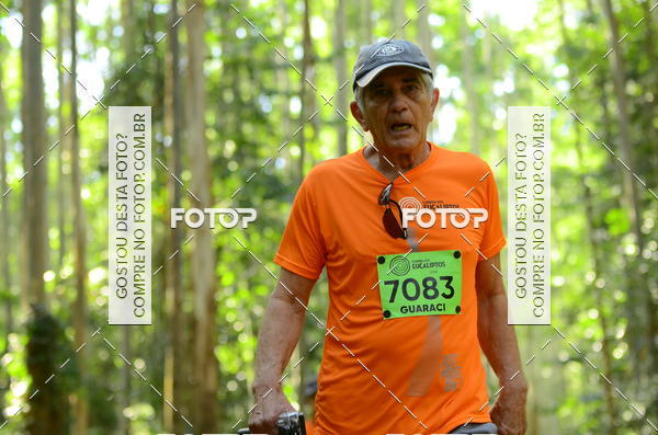 Buy your photos of the eventCORRIDA DOS EUCALIPTOS 2018 on Fotop