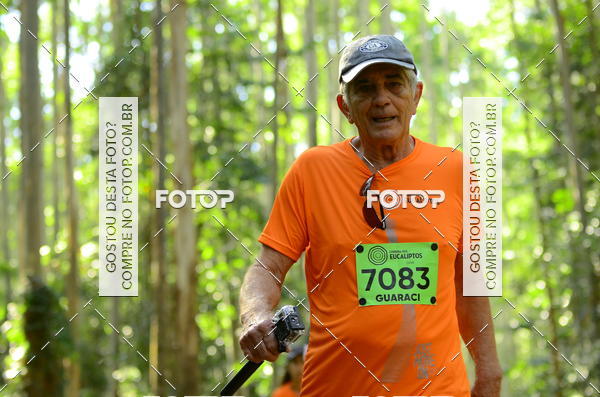 Buy your photos of the eventCORRIDA DOS EUCALIPTOS 2018 on Fotop