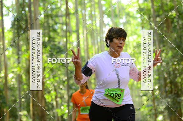 Buy your photos of the eventCORRIDA DOS EUCALIPTOS 2018 on Fotop