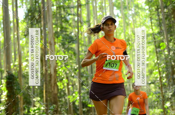 Buy your photos of the eventCORRIDA DOS EUCALIPTOS 2018 on Fotop