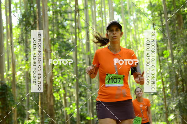 Buy your photos of the eventCORRIDA DOS EUCALIPTOS 2018 on Fotop