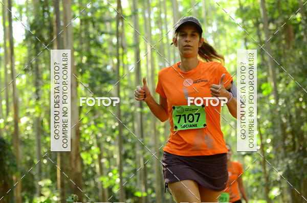 Buy your photos of the eventCORRIDA DOS EUCALIPTOS 2018 on Fotop