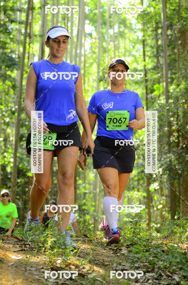 Buy your photos of the eventCORRIDA DOS EUCALIPTOS 2018 on Fotop