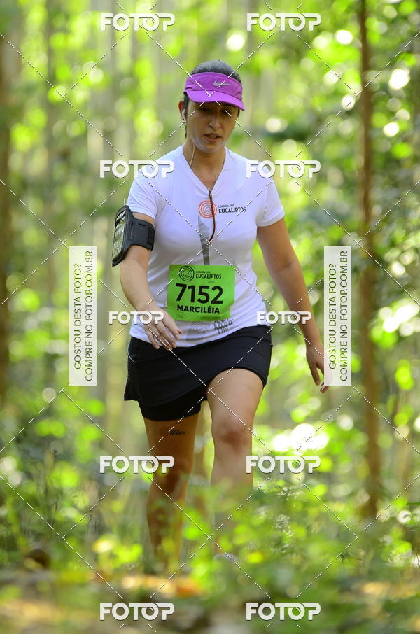 Buy your photos of the eventCORRIDA DOS EUCALIPTOS 2018 on Fotop