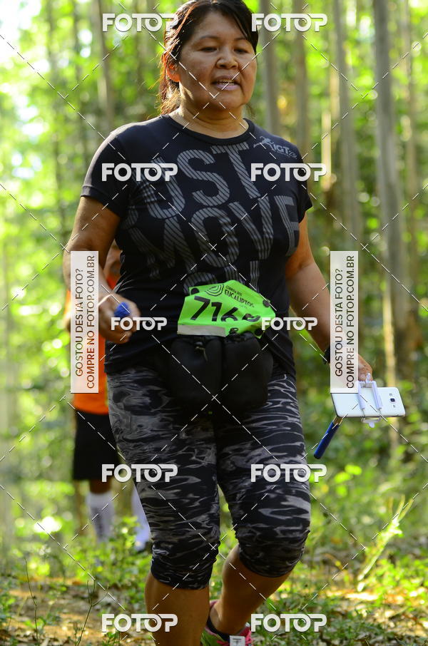 Buy your photos of the eventCORRIDA DOS EUCALIPTOS 2018 on Fotop