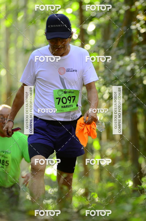 Buy your photos of the eventCORRIDA DOS EUCALIPTOS 2018 on Fotop