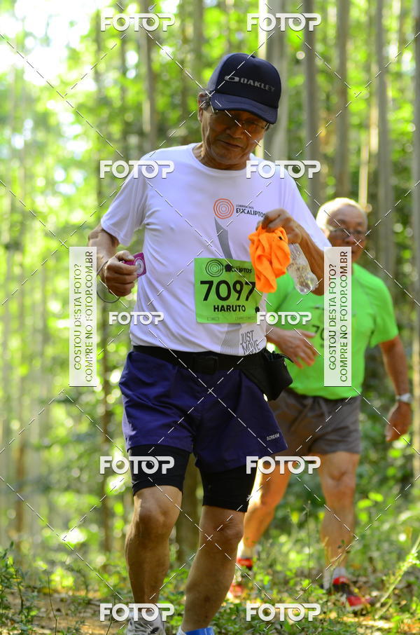 Buy your photos of the eventCORRIDA DOS EUCALIPTOS 2018 on Fotop