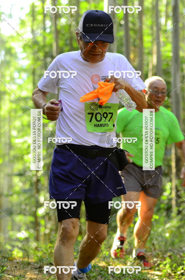 Buy your photos of the eventCORRIDA DOS EUCALIPTOS 2018 on Fotop