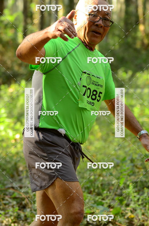 Buy your photos of the eventCORRIDA DOS EUCALIPTOS 2018 on Fotop