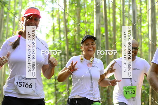 Buy your photos of the eventCORRIDA DOS EUCALIPTOS 2018 on Fotop