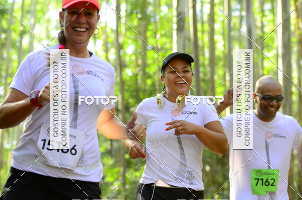 Buy your photos of the eventCORRIDA DOS EUCALIPTOS 2018 on Fotop