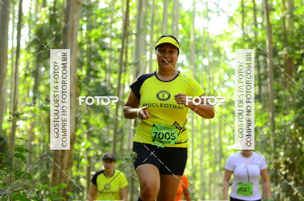 Buy your photos of the eventCORRIDA DOS EUCALIPTOS 2018 on Fotop
