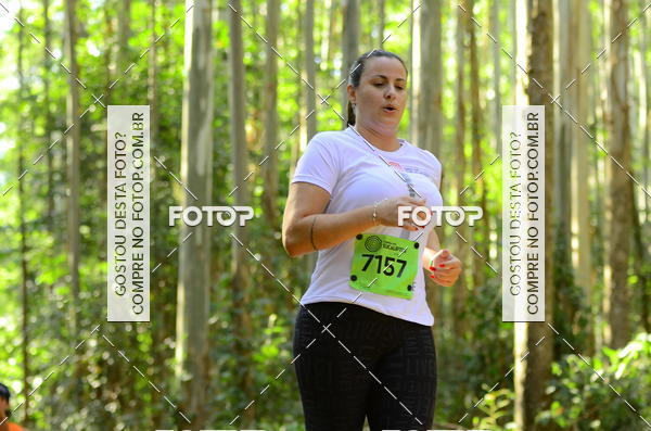 Buy your photos of the eventCORRIDA DOS EUCALIPTOS 2018 on Fotop