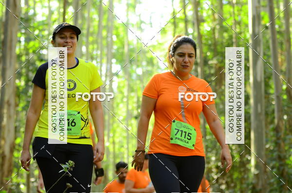 Buy your photos of the eventCORRIDA DOS EUCALIPTOS 2018 on Fotop