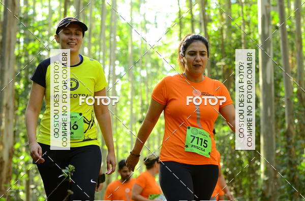 Buy your photos of the eventCORRIDA DOS EUCALIPTOS 2018 on Fotop
