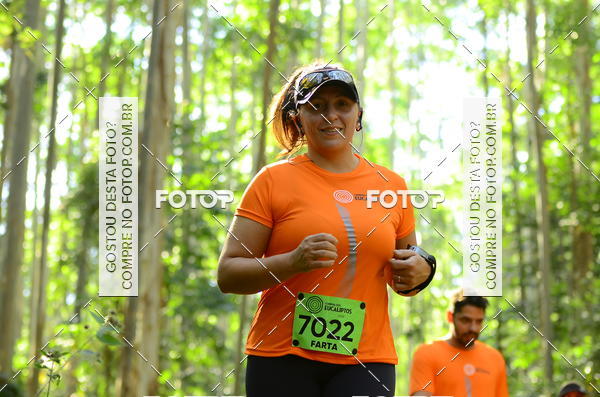 Buy your photos of the eventCORRIDA DOS EUCALIPTOS 2018 on Fotop