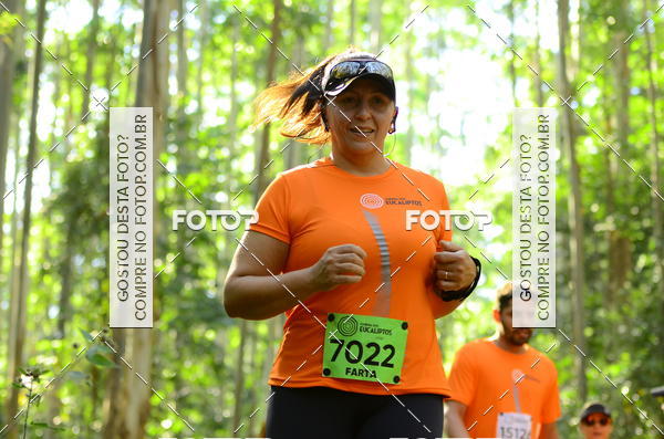 Buy your photos of the eventCORRIDA DOS EUCALIPTOS 2018 on Fotop